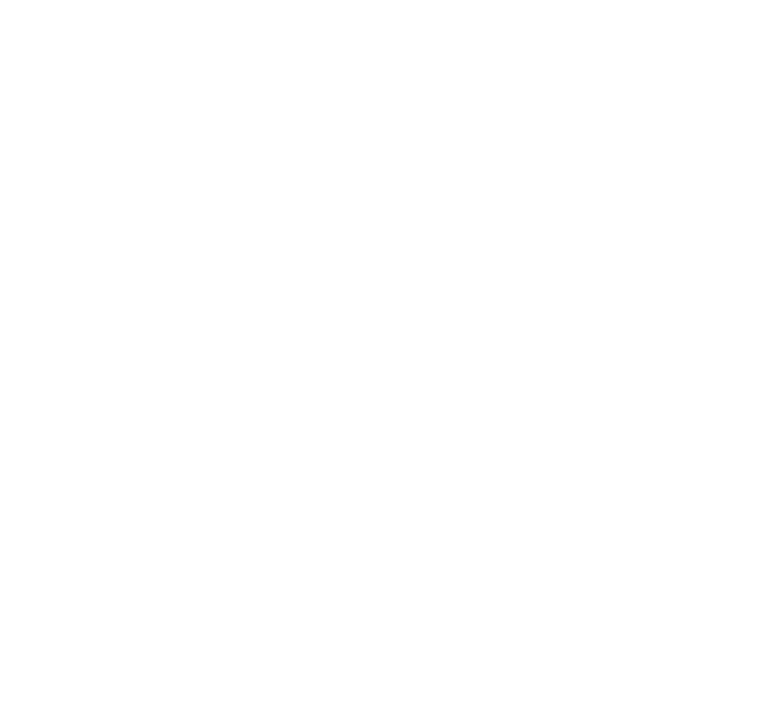 A white background with a few lines on it designating the Expertise Award