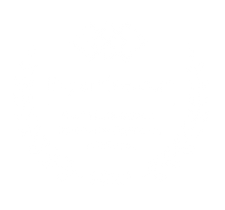 A white background with a few lines on it designating the Expertise Award