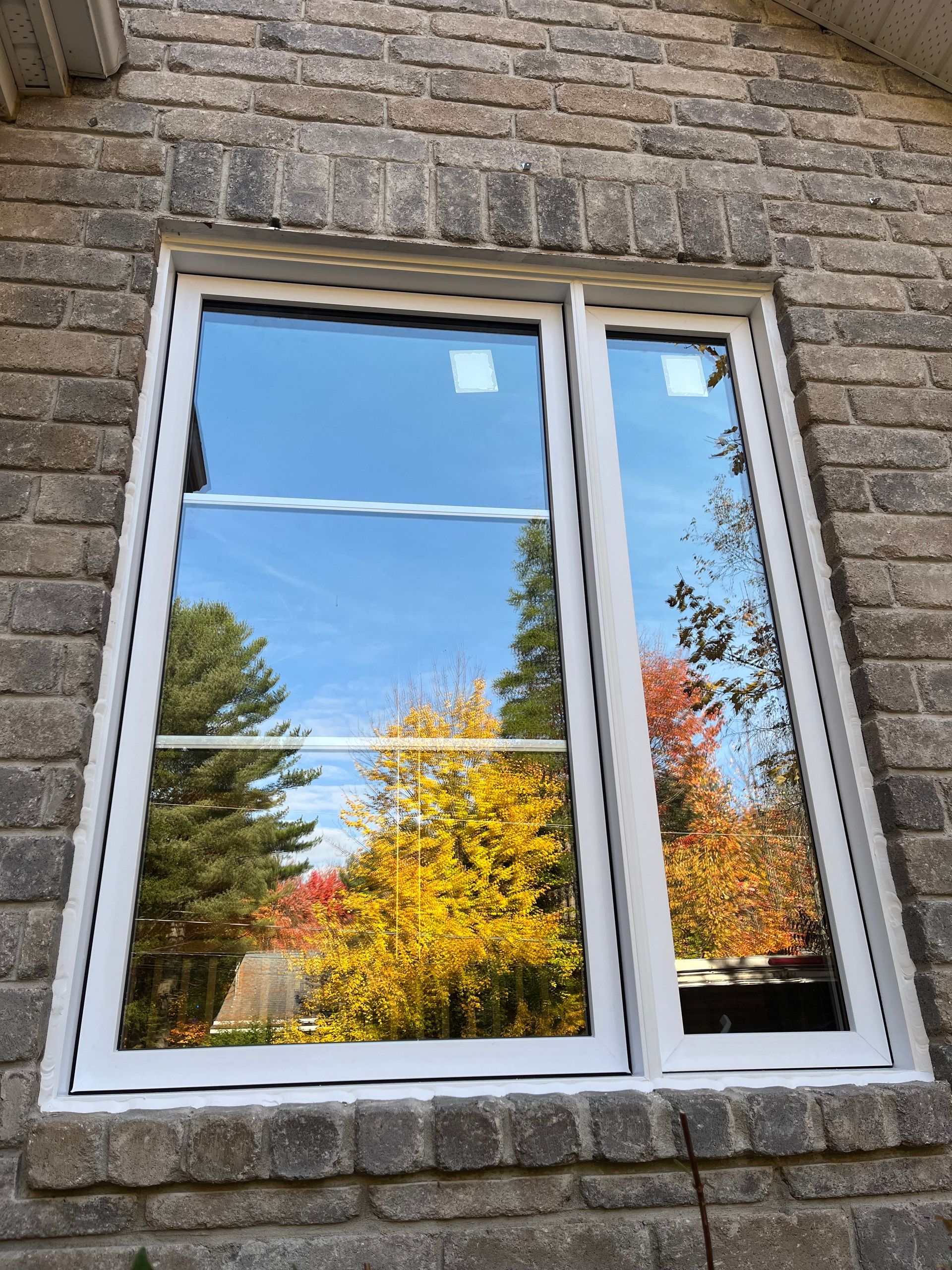 Fenêtre avec cadre blanc, reflétant les arbres d'automne colorés sur un extérieur en briques.