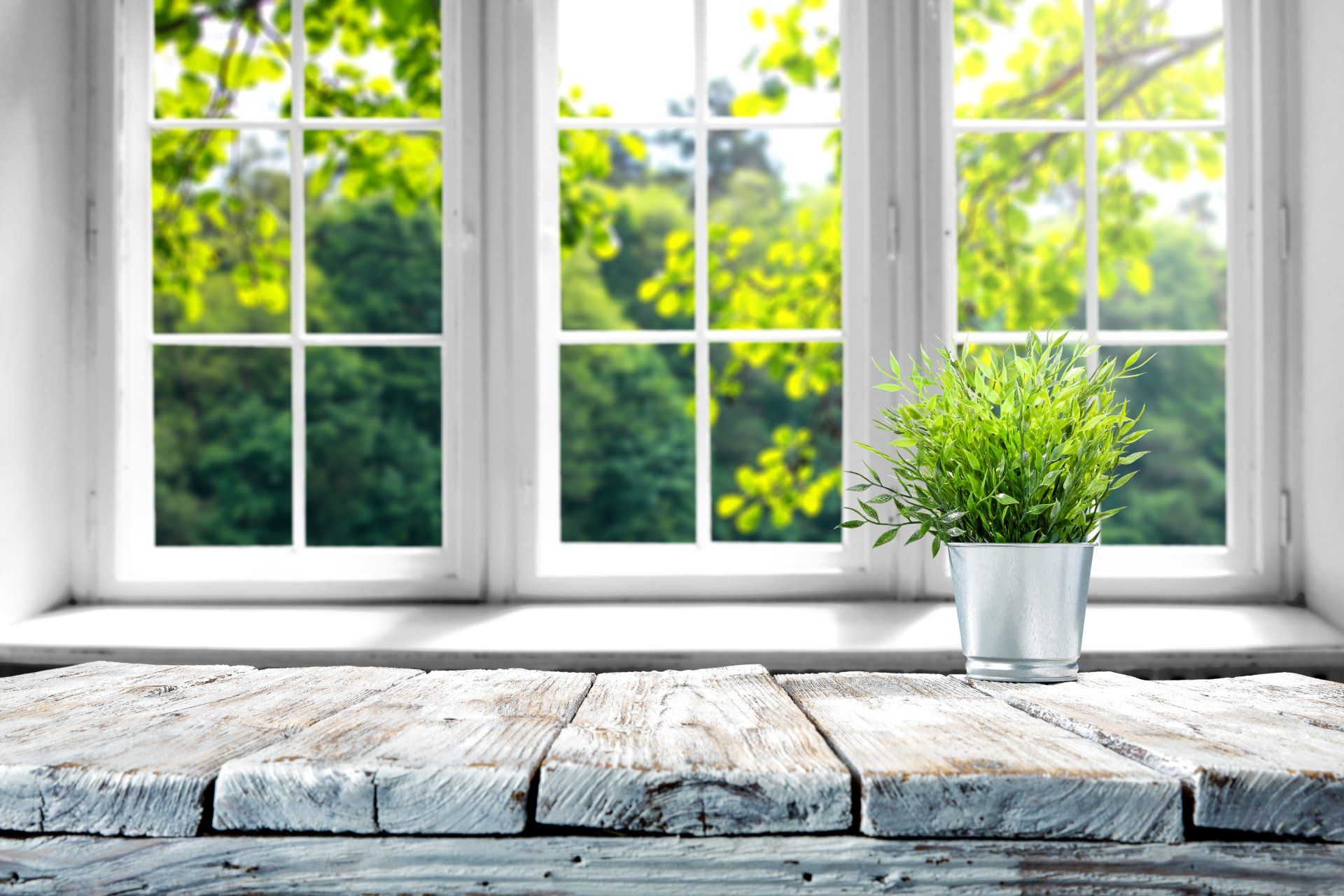 Une plante en pot est posée sur une table en bois devant une fenêtre.