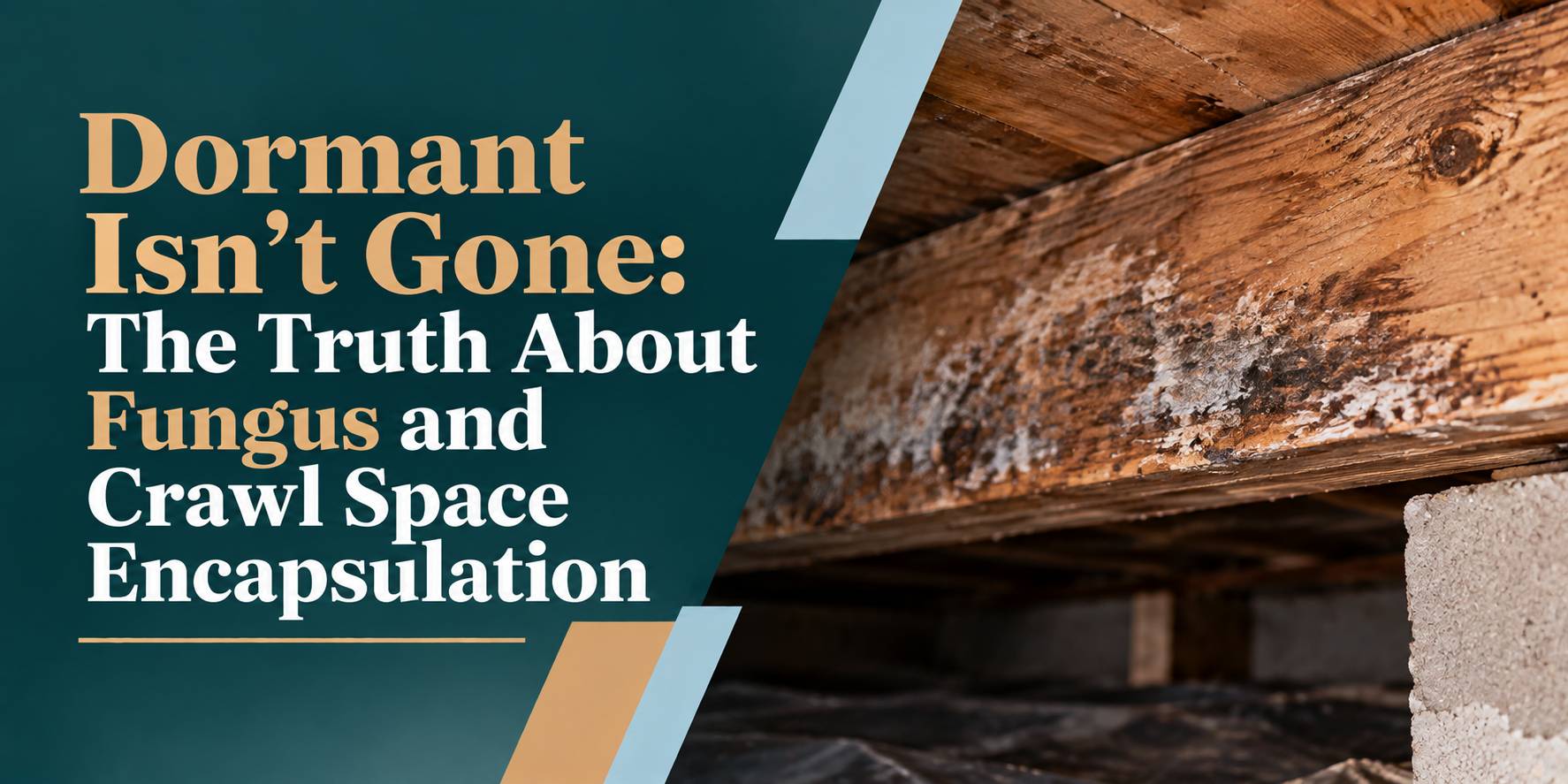 Text graphic about crawl space fungal encapsulation with wood beam and concrete blocks.