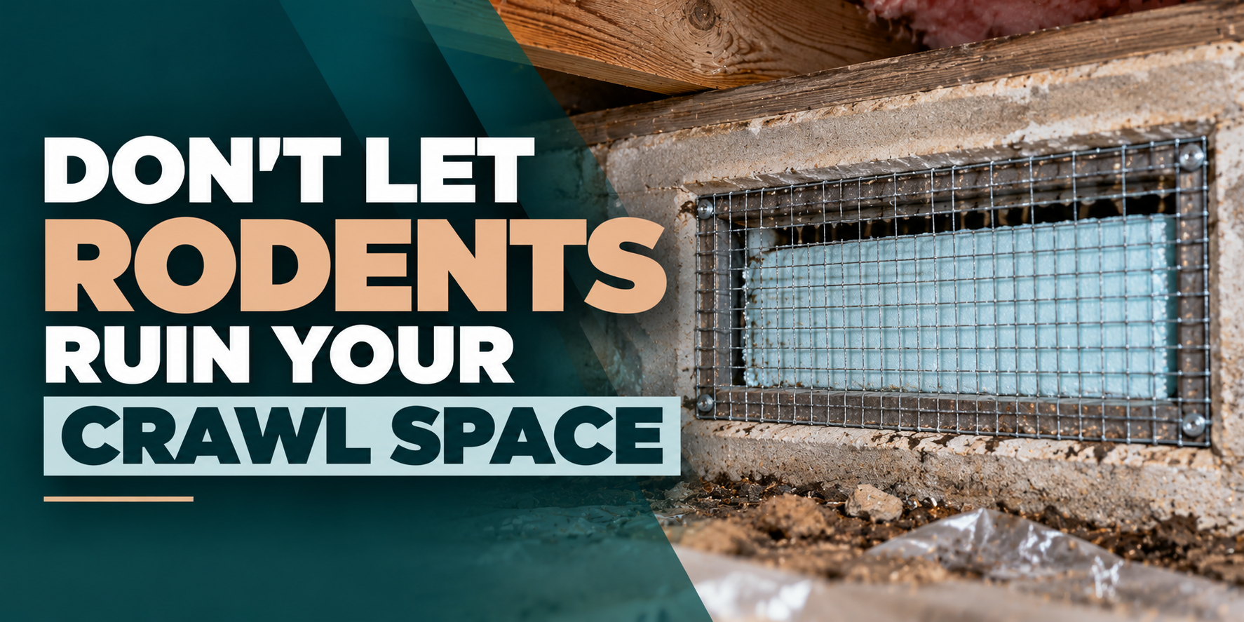 Text warning: “Don’t let rodents ruin your crawl space” over a crawl space vent with mesh screen.