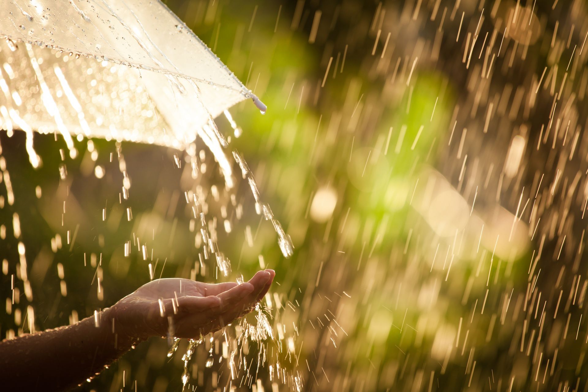 A person is holding an umbrella in the rain.