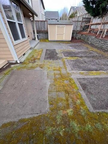 Backyard concrete patio with moss, raised garden beds, shed, and house.