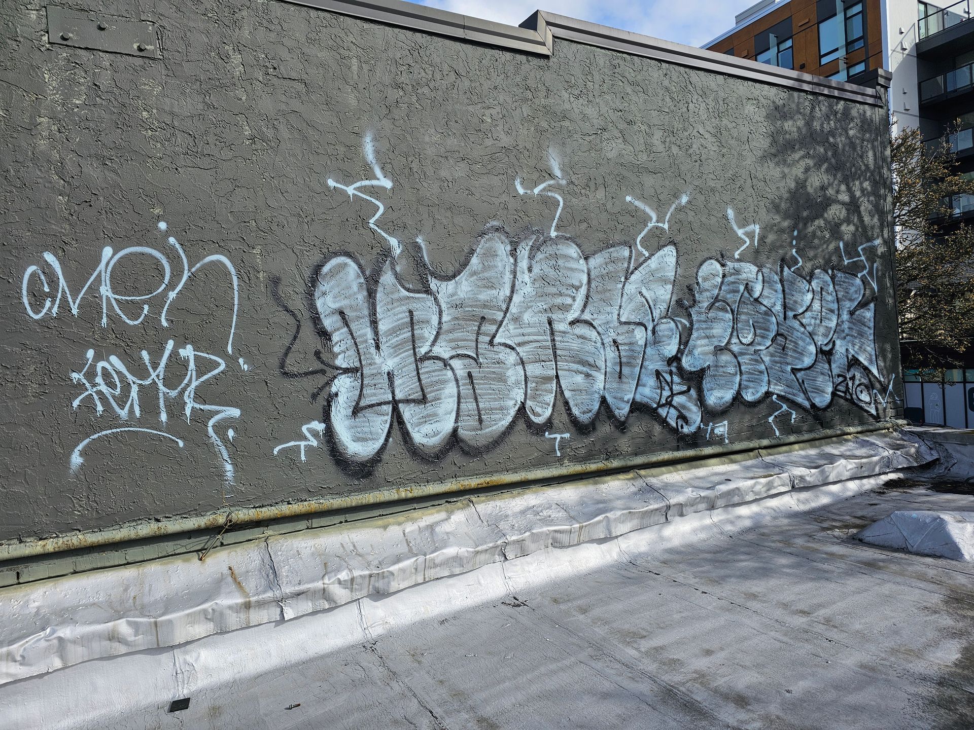 Graffiti on a gray wall, featuring light blue bubble letters, along a rooftop with a city backdrop.