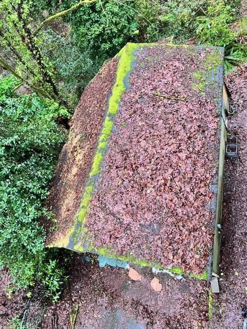 Overhead view of a small, moss-covered building roof covered in fallen leaves, in a wooded area.