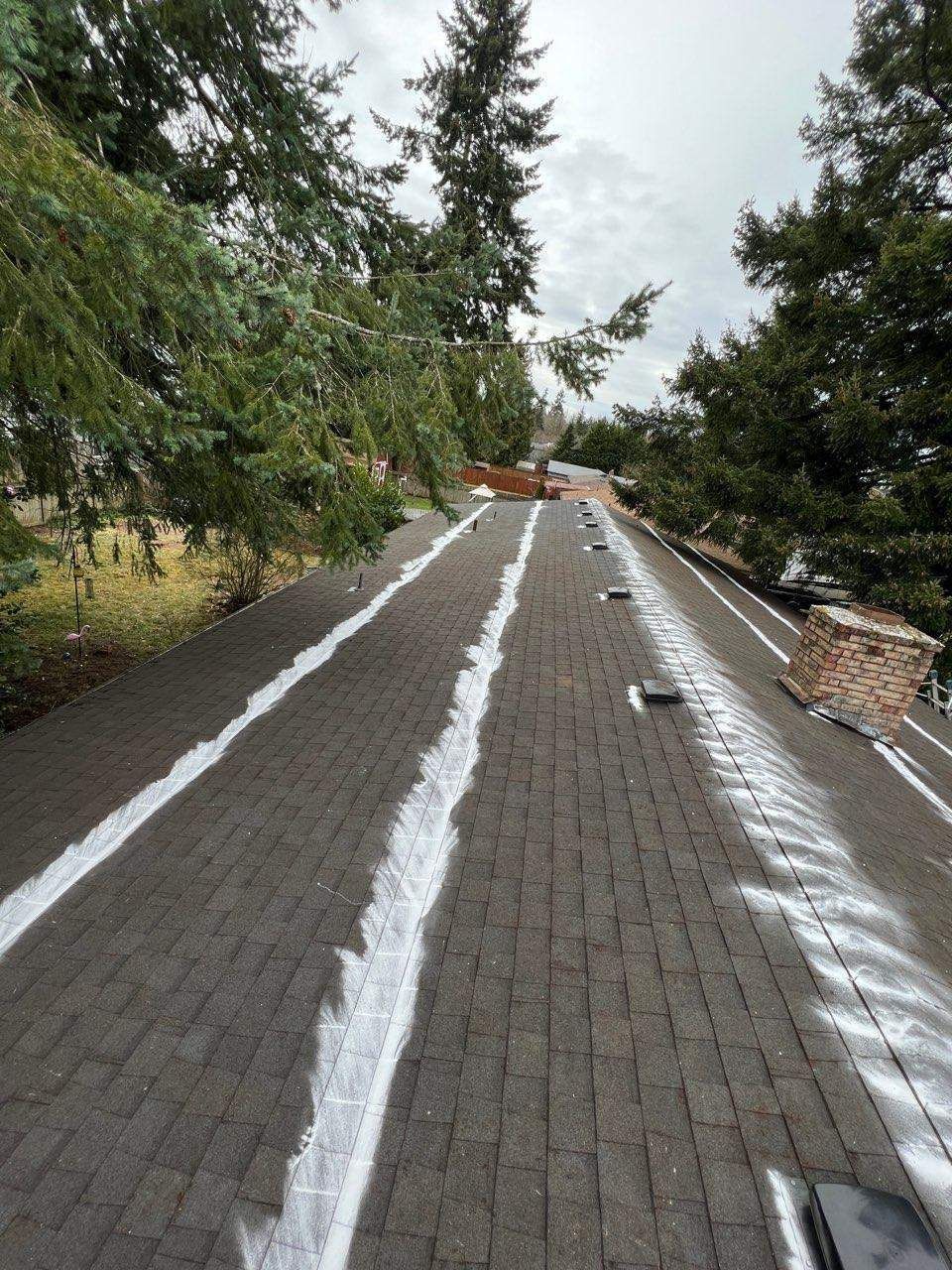Dark roof with snow streaks, trees in the background, cloudy sky.
