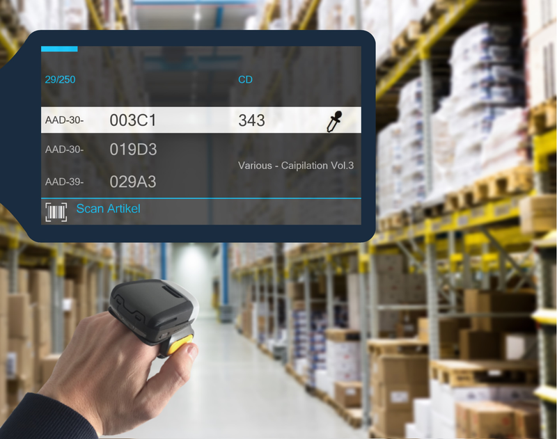 Concepts for an application using smart glasses and speech technology