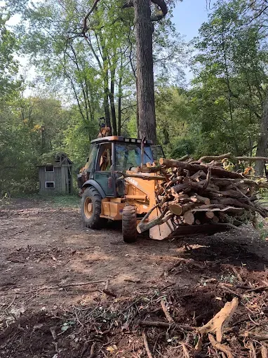 Loader carrying logs in a wooded area, person visible in the cab, small wooden structure in the background.