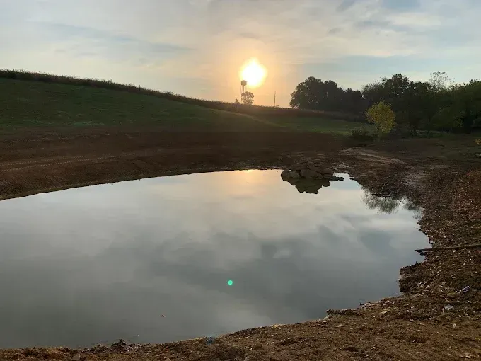 A sunlit pond reflects the sky, with a grassy hill and trees in the background.