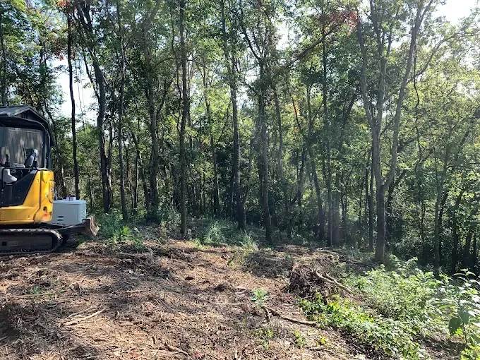 Yellow excavator clearing a wooded area. Trees and brush in the background. Sunny day.