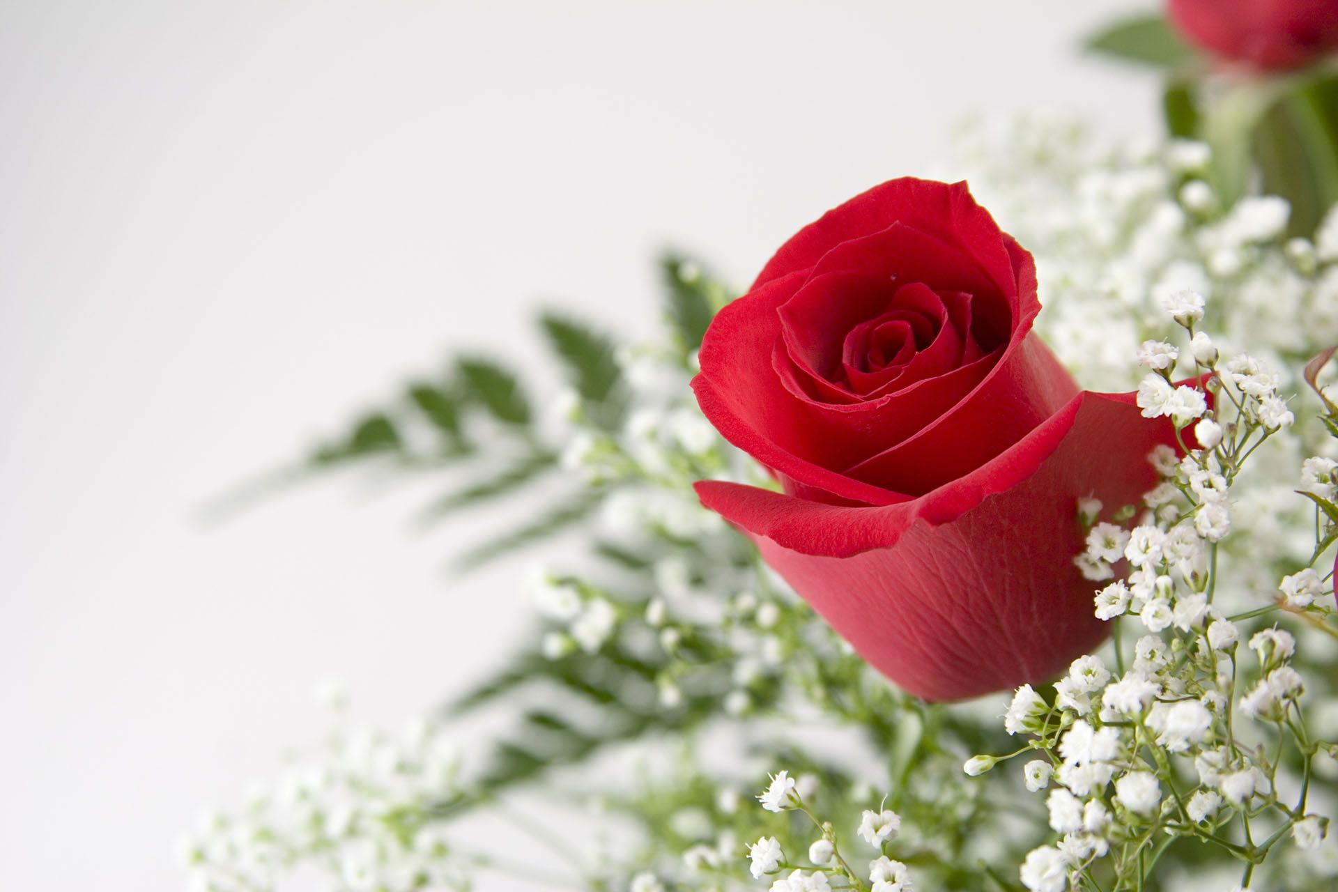 Lambert-Tatman Funeral Home|Funeral Cremation Parkersburg, WV