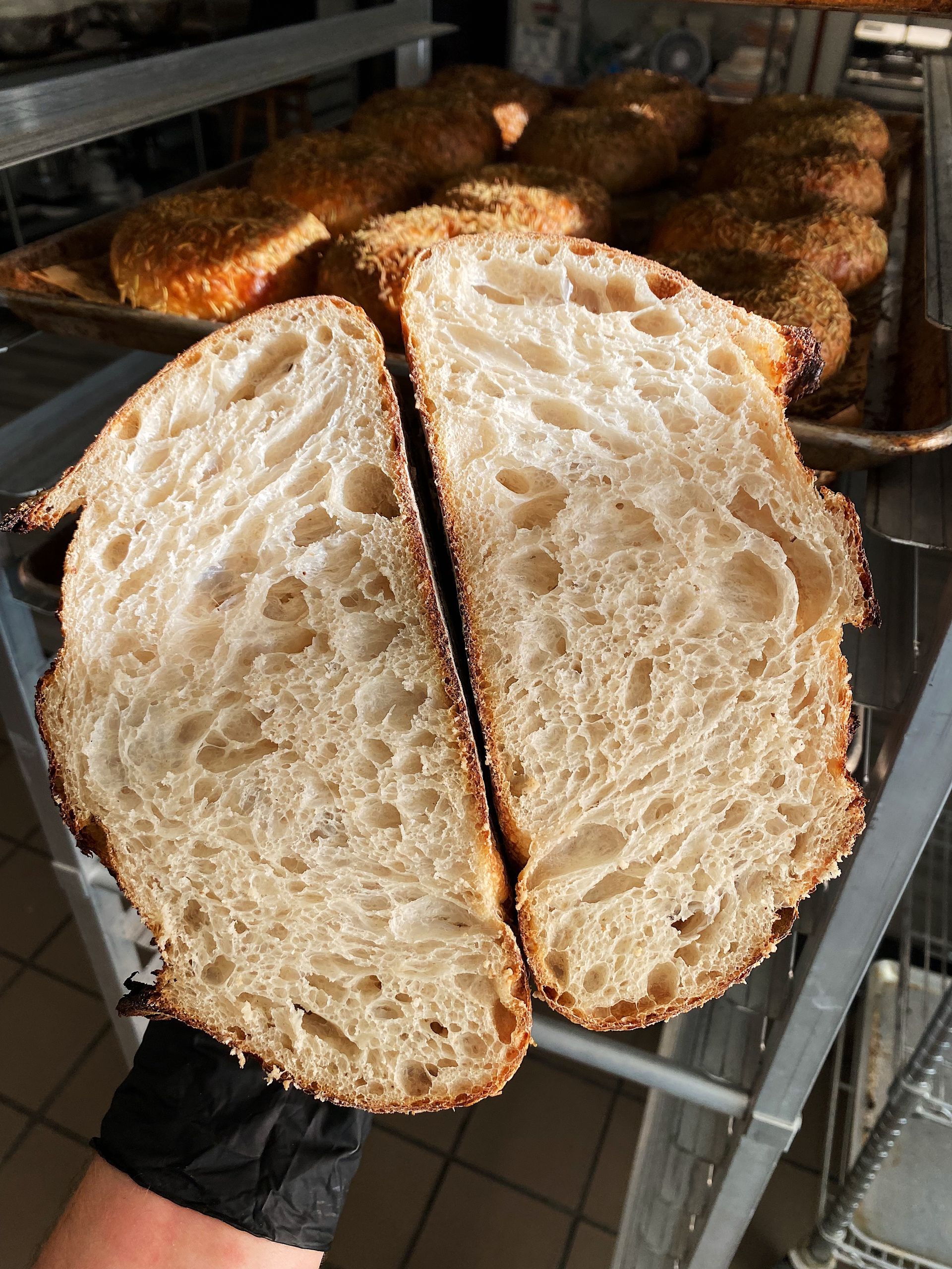 aurora bagels and bread village