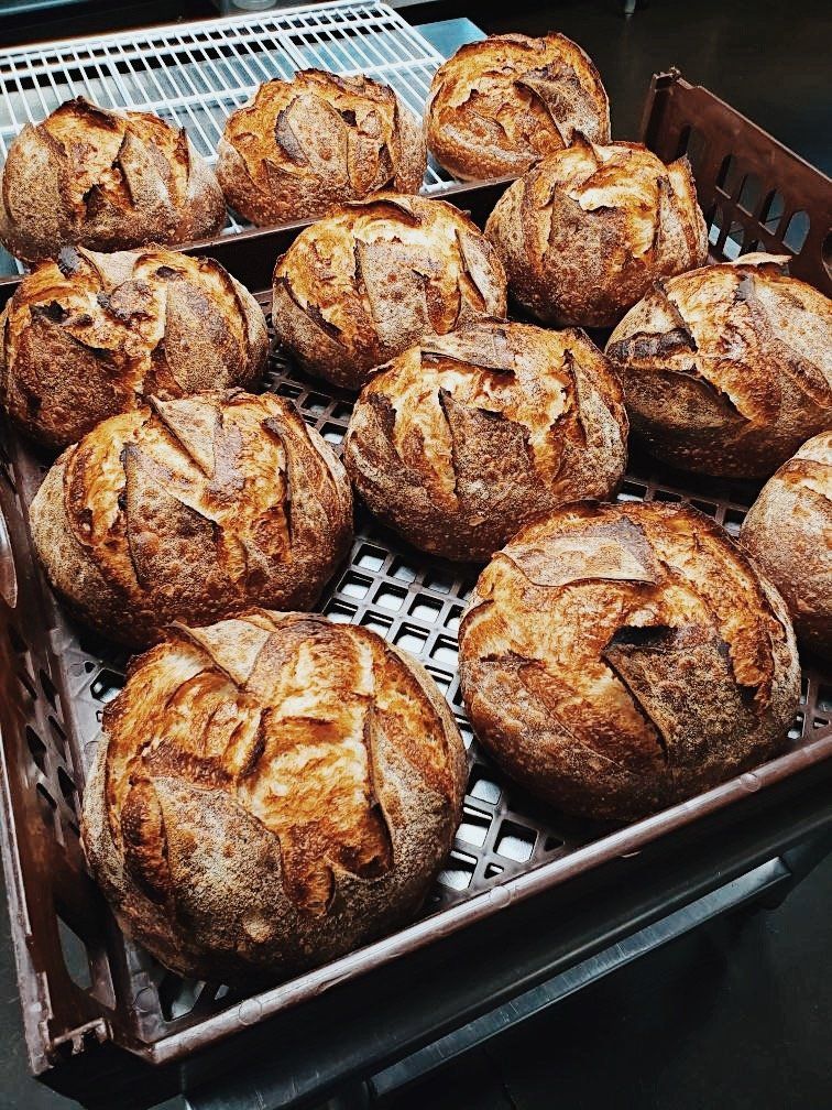 dopest dough sourdough bread orders