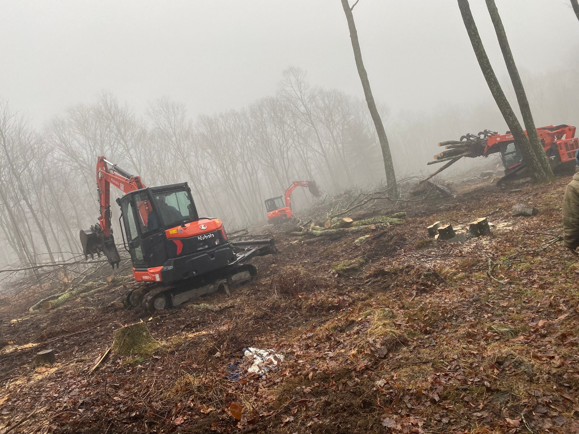 A group of tractors are working in a foggy forest.