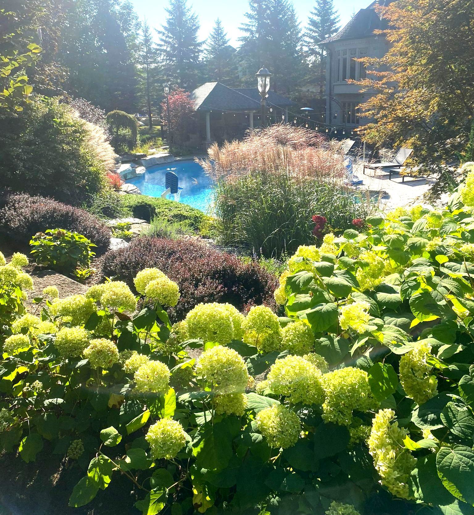 Residential Driveway and Landscape — Loretto, ON — Hybrid Landscape Management Residential Driveway and Landscape — Loretto, ON — Hybrid Landscape Management