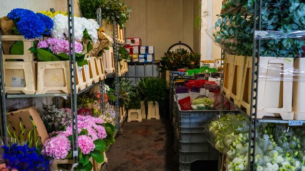 fiori per ingrosso