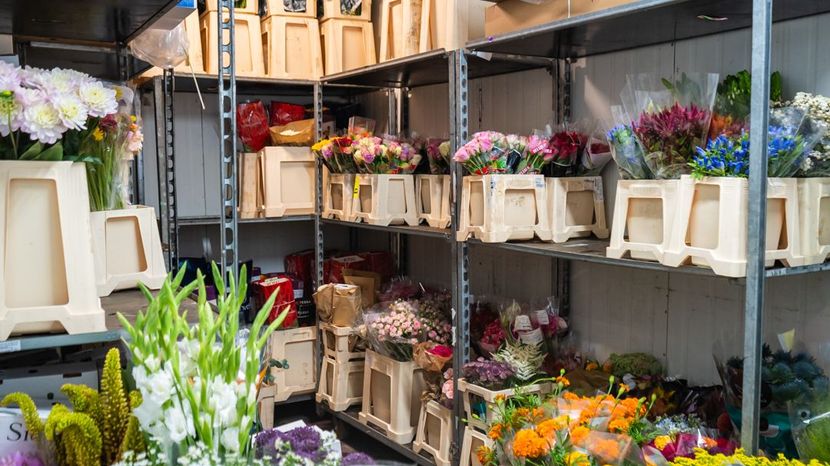 fiori per la vendita all'ingrosso
