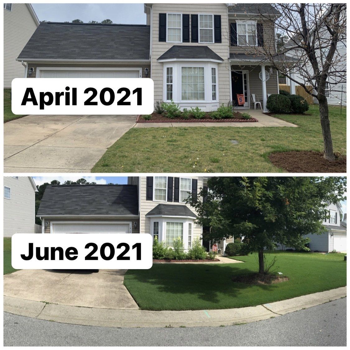 A before and after of the front of a house where the after picture has a very green lawn. April 2021 vs June 2021