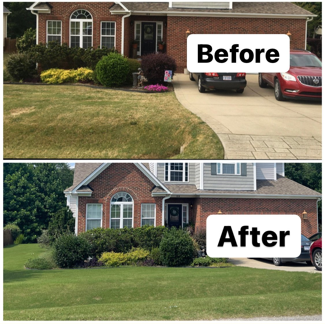 A before and after of the front of a brick house where the after picture has very green lawn