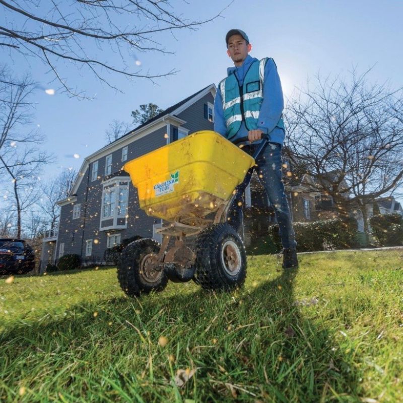Carolina Turf employee seeding a lawn