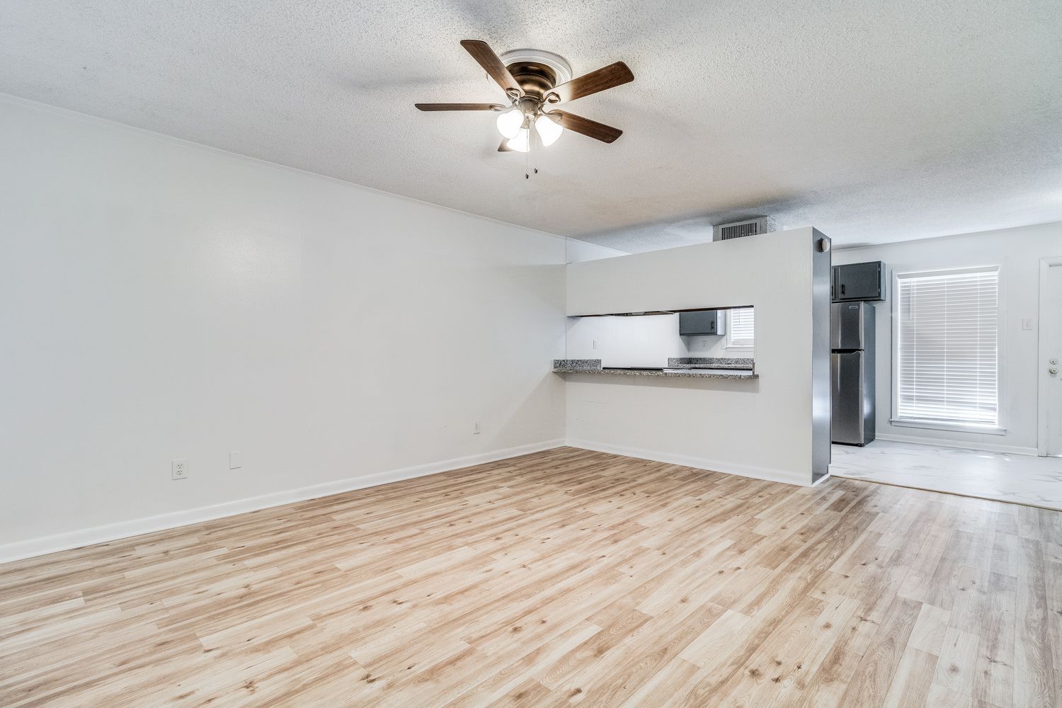 living room and kitchen