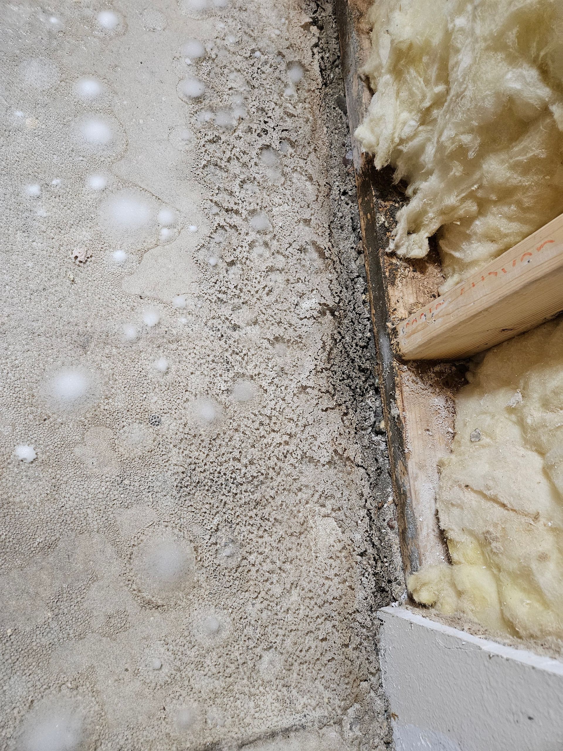 mold remediation services in ND