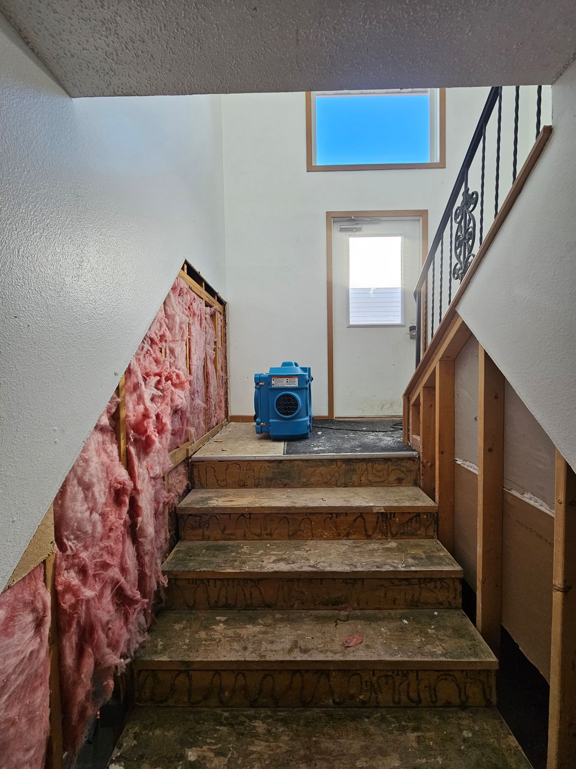 mold company bismarck