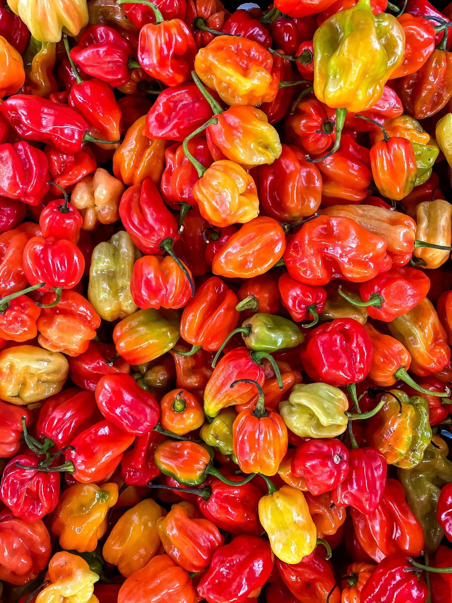 A pile of red and yellow peppers with green stems