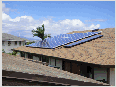 Solar Panels With Palm Tree - Honolulu, HI - Solar Help Hawaii