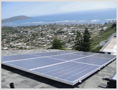 Solar Panels With Trees- Honolulu, HI - Solar Help Hawaii