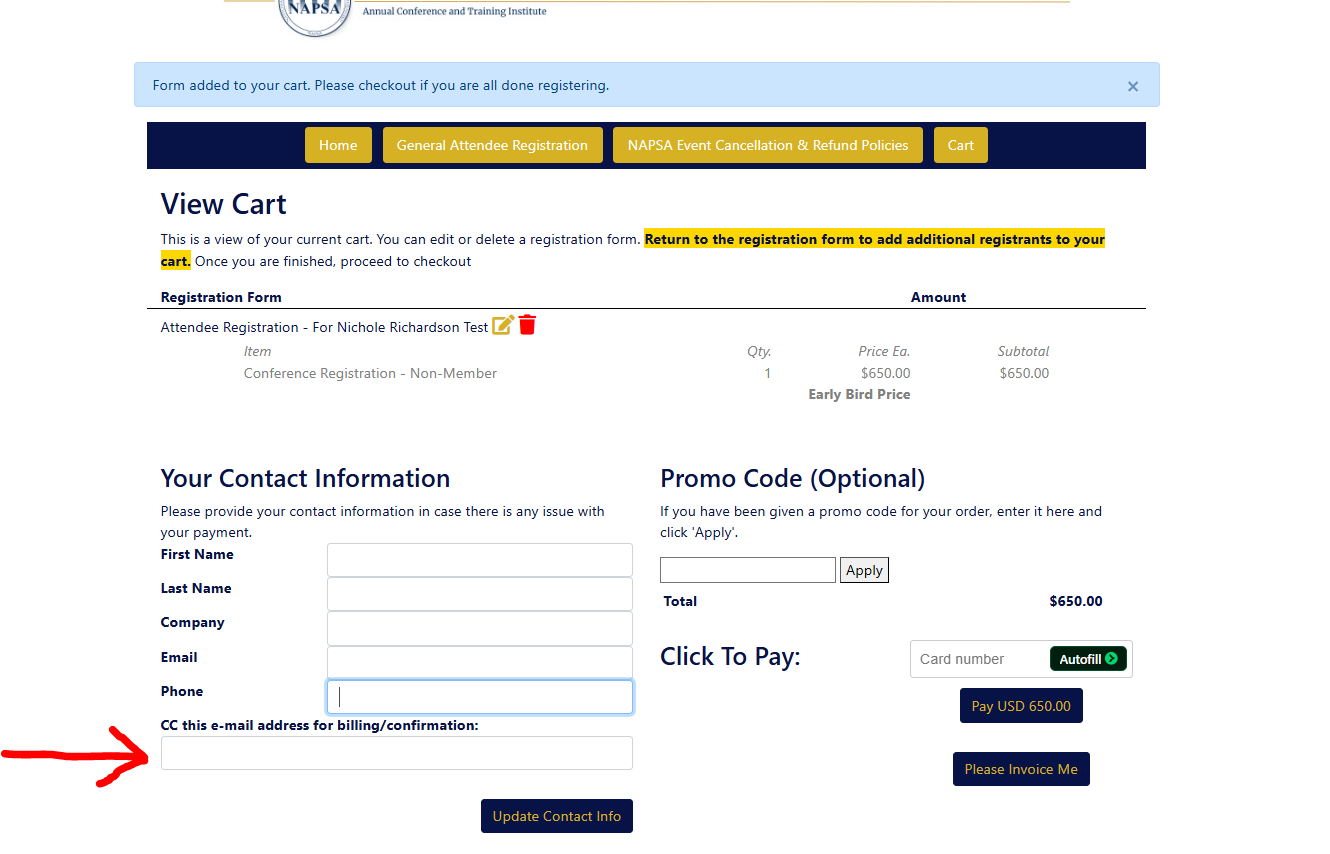 Shopping cart checkout page with form fields and a red arrow pointing to a text box.