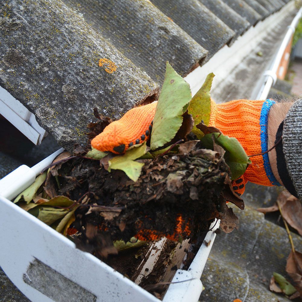 Cleaning the Roof Gutters Full of Dirt