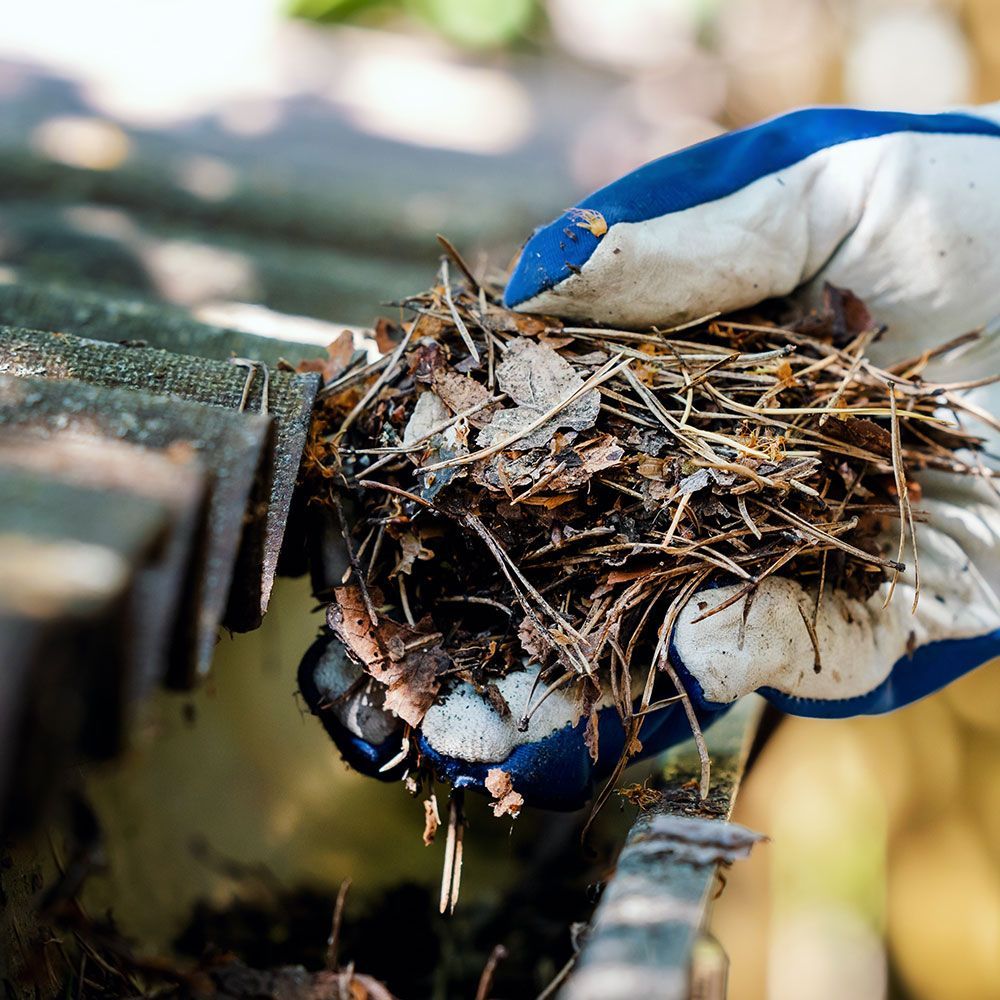 Cleaning the Dirty Gutter
