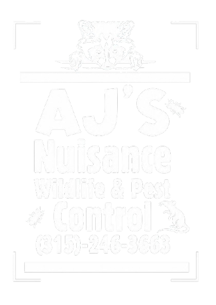 AJ's Nuisance Wildlife Control