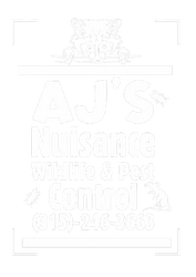 AJ's Nuisance Wildlife Control AJ's Nuisance Wildlife Control