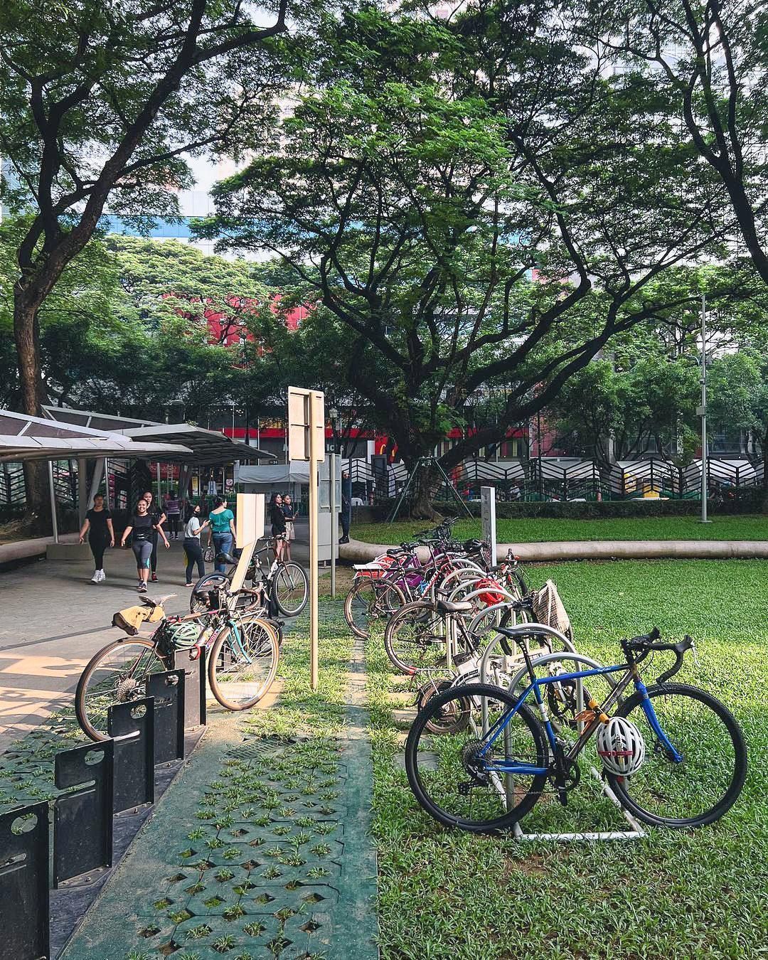 Bicycles parked along a tree-lined campus path near a grassy lawn and walking area