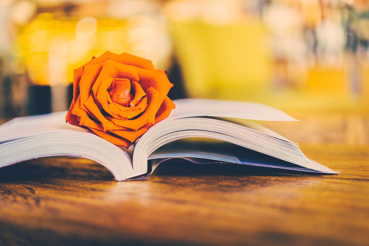 Funeral Directors Wembley & Harrow G Saville & Son