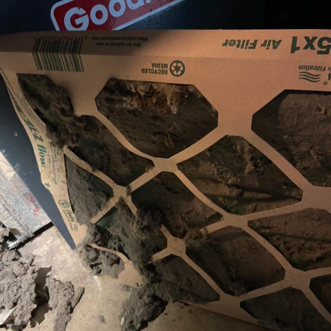 dirty HVAC air filter replacement Northern Virginia