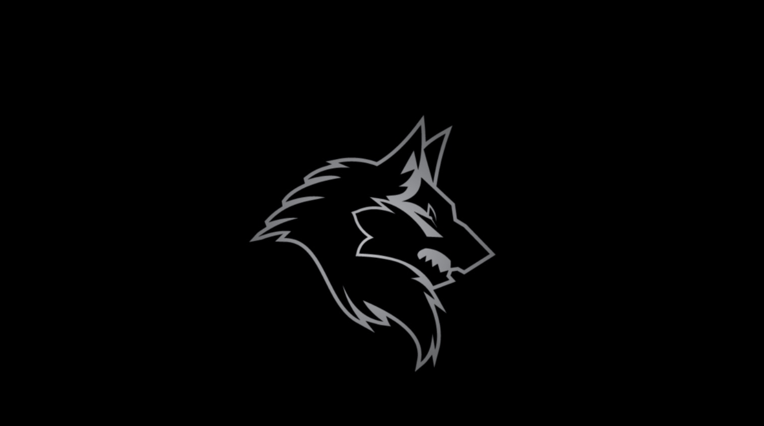 Security companies Fort Worth Texas