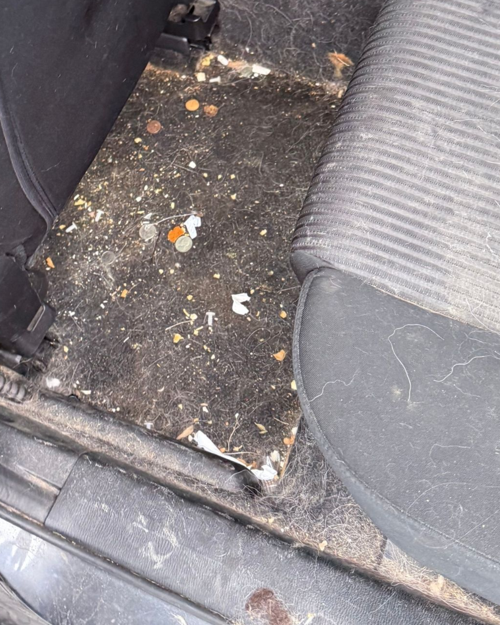 Dirty car floor with scattered crumbs and debris beside a gray seat