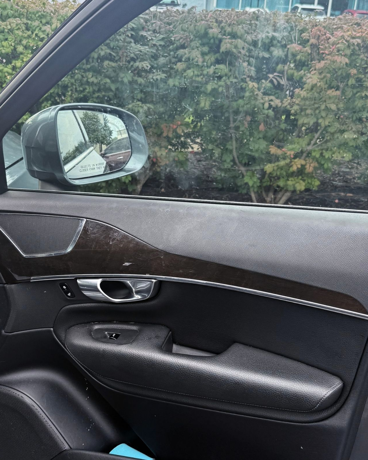 Car interior door panel with dark wood trim, black upholstery, and side mirror view of greenery outside