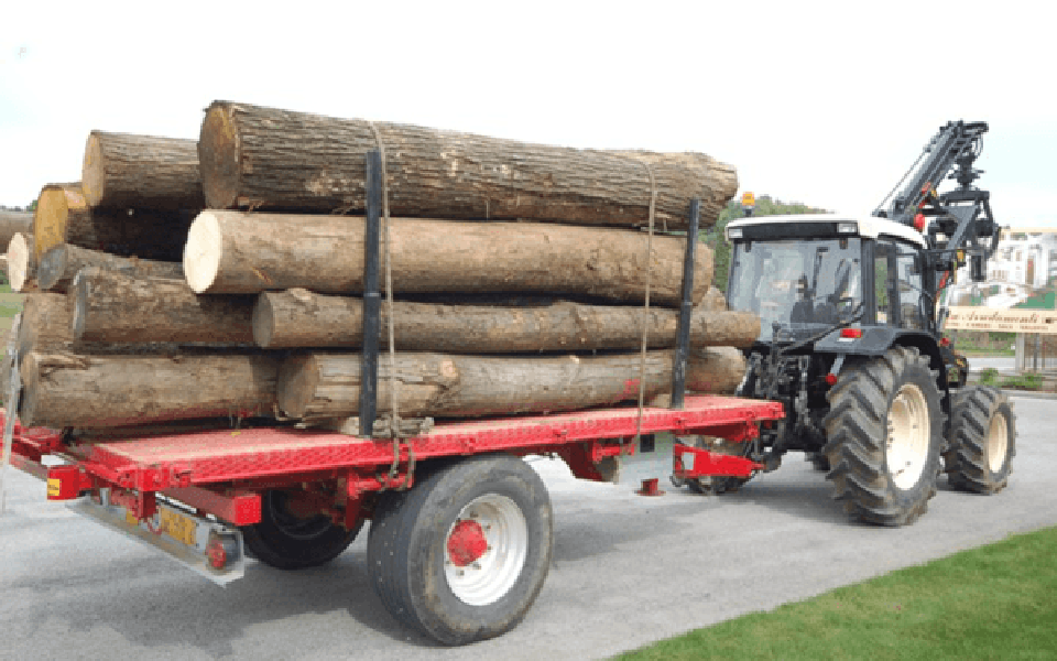 bûches de bois