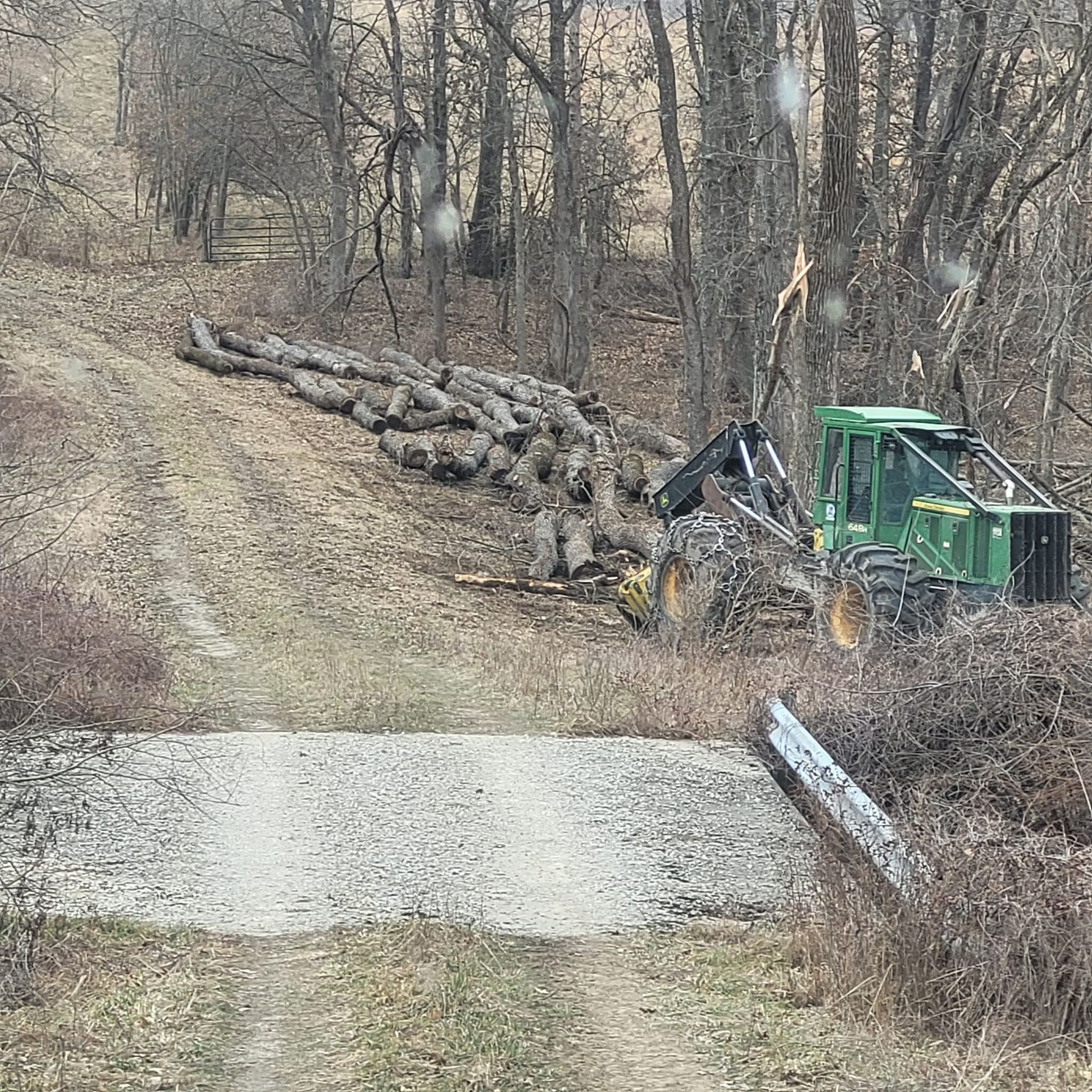 A tractor is carrying logs down a dirt road in the woods.