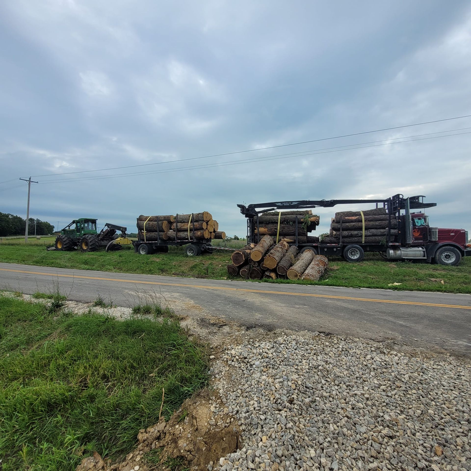 A truck carrying logs is parked on the side of the road.