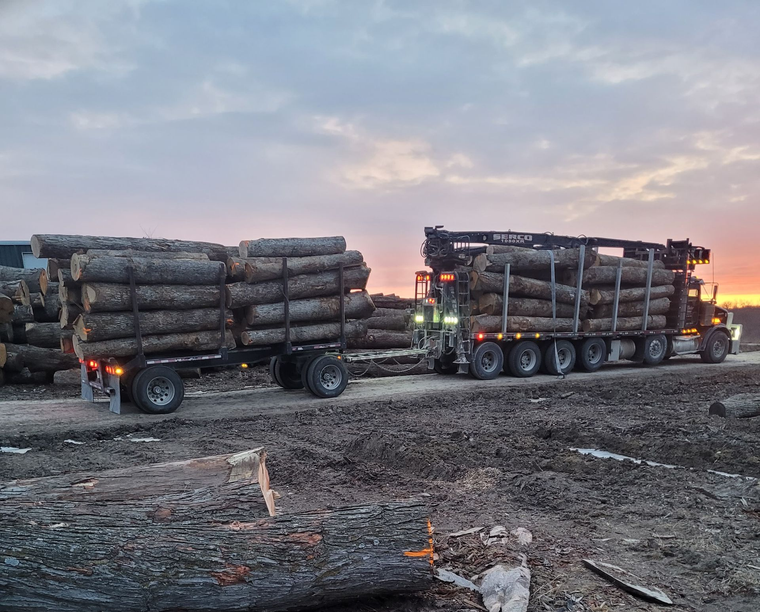 A pile of logs sitting on top of each other in a forest.