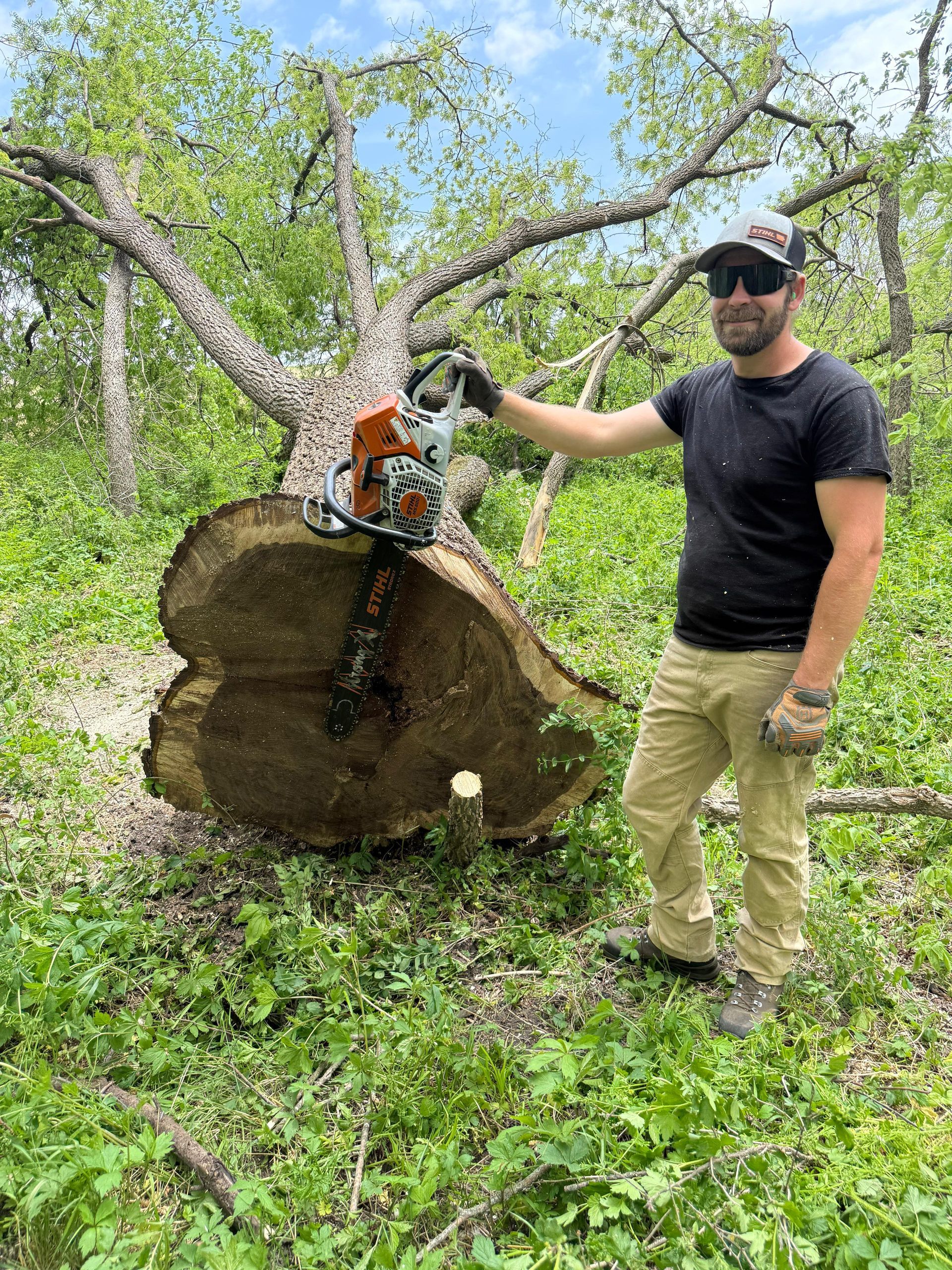 A large log is being lifted by a tractor in a field.