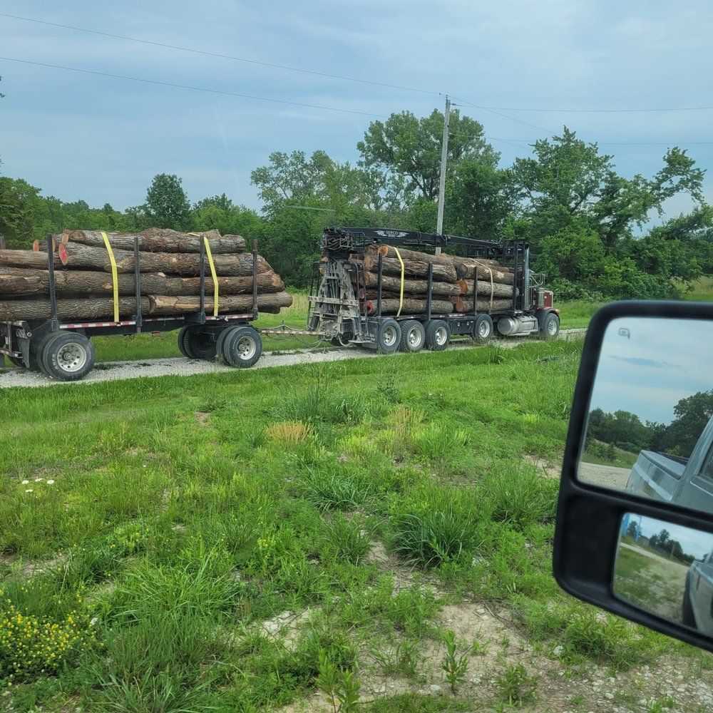 A truck is carrying logs on a trailer in a grassy field