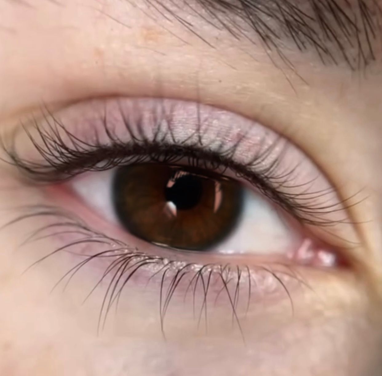 Nahaufnahme eines braunen Auges mit langen Wimpern, hellrosa Lidschatten und einem sichtbaren Tränenkanal.