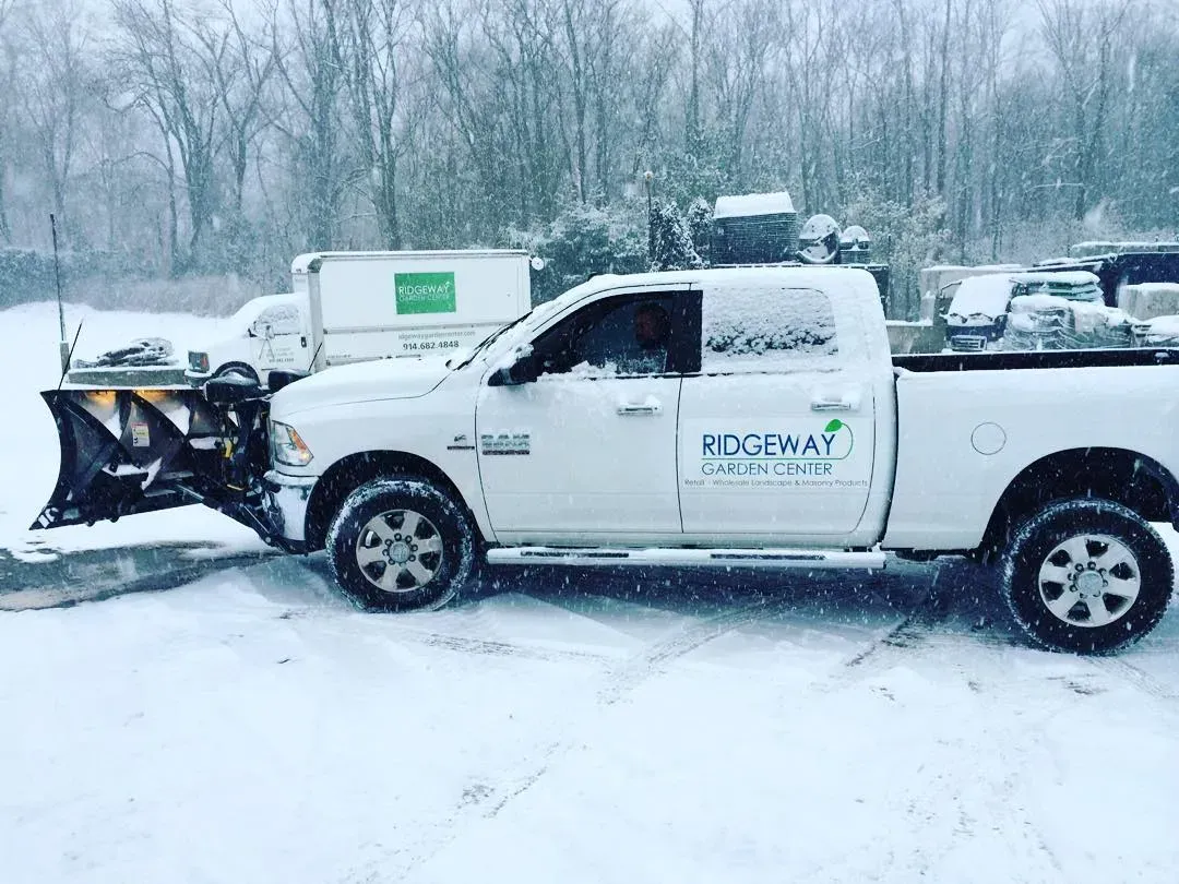 Snow-covered white pickup truck with a front plow parked in a snowy lot with trees in the background